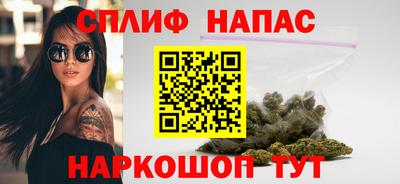 дмт Новозыбков