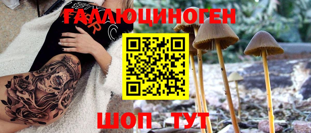 Галлюциногенные грибы Cubensis Биробиджан